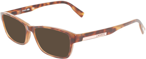 Lacoste L3650 sunglasses in Havana