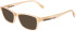 Lacoste L3650 sunglasses in Brown