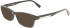 Lacoste L3650 sunglasses in Black