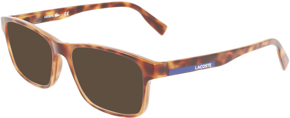 Lacoste L3649-52 sunglasses in Havana