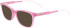 Lacoste L3648 sunglasses in Matte Purple Lumi