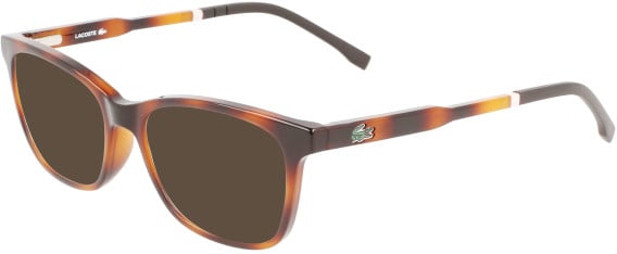 Lacoste L3648 sunglasses in Havana