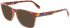 Lacoste L2898-54 sunglasses in Havana