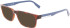 Lacoste L2897 sunglasses in Havana