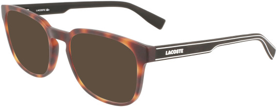 Lacoste L2896 sunglasses in Matte Havana