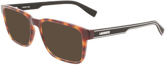 Lacoste L2895 sunglasses in Havana
