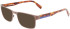 Lacoste L2283-53 sunglasses in Brown