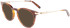 Ferragamo SF2927 sunglasses in Tortoise