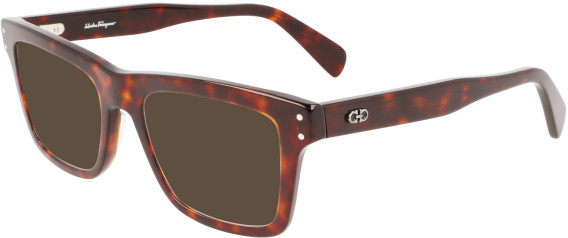 Ferragamo SF2923 sunglasses in Brown Tortoise
