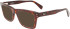 Ferragamo SF2923 sunglasses in Brown Tortoise