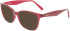Ferragamo SF2918 sunglasses in Transparent Burgundy