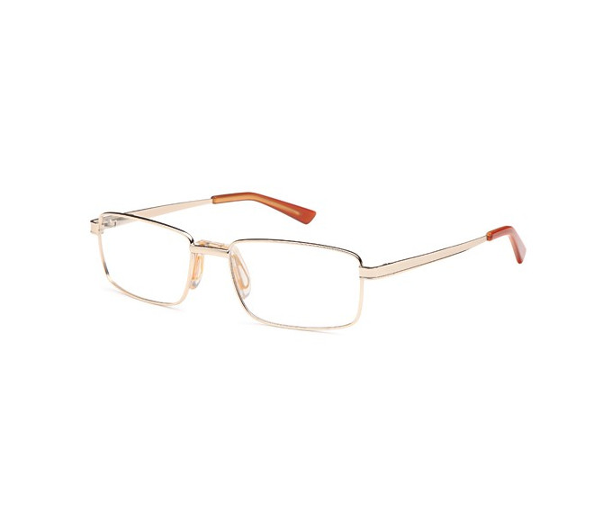 SFE reading glasses in Gold