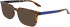 Dragon DR9005 sunglasses in Dark Tortoise