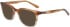 Dragon DR2034 sunglasses in Brown Teal