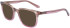 Dragon DR2034 sunglasses in Grey Violet