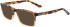 Dragon DR2033 sunglasses in Dark Tortoise Camel