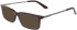 Dragon DR2030 sunglasses in Brown