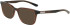 Dragon DR2026 sunglasses in Brown Crystal