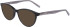 DKNY DK5039 sunglasses in Black