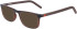 Converse CV5059 sunglasses in Crystal Brazil Nut