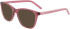 Converse CV5050 sunglasses in Crystal Pink Aura