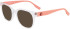 Converse CV5032 sunglasses in Crystal Clear