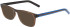 Converse CV5027Y sunglasses in Crystal Dark Root