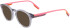Converse CV5023Y sunglasses in Crystal Light Carbon