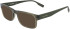 Converse CV5016 sunglasses in Crystal Dark Moss