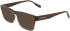 Converse CV5015 sunglasses in Crystal Dark Root