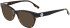 Converse CV5003 sunglasses in Dark Tortoise
