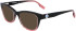 Converse CV5003 sunglasses in Crystal Smoke/Terra Gradient