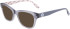 Converse CV5003 sunglasses in Crystal Light Carbon