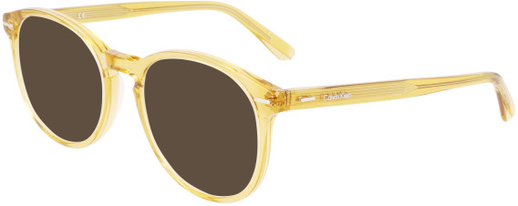Calvin Klein CK22504 sunglasses in Honey