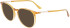Calvin Klein CK21522 sunglasses in Butterscotch