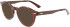 Calvin Klein CK21518 sunglasses in Brown Havana