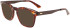 Calvin Klein CK21517 sunglasses in Brown Havana
