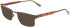 Calvin Klein CK21126-53 sunglasses in Brown