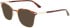 Calvin Klein CK21124 sunglasses in Brown Havana