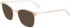 Calvin Klein CK21124 sunglasses in Sand