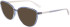 Calvin Klein Jeans CKJ21637 sunglasses in Blue