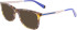 Calvin Klein Jeans CKJ21633-56 sunglasses in Khaki Havana