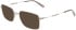 Calvin Klein Jeans CKJ21222 sunglasses in Dark Ruthenium/Grey