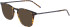 Zeiss ZS22701 sunglasses in Amber Tortoise