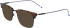 Zeiss ZS22300 sunglasses in Dark Tortoise