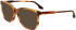 Victoria Beckham VB2629 sunglasses in Chocolate Smoke