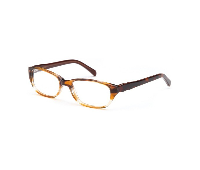 SFE reading glasses in Brown