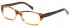 SFE reading glasses in Brown