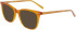 Marchon M-5507-51 sunglasses in Amber Crystal/Horn