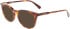 Longchamp LO2693-51 sunglasses in Havana